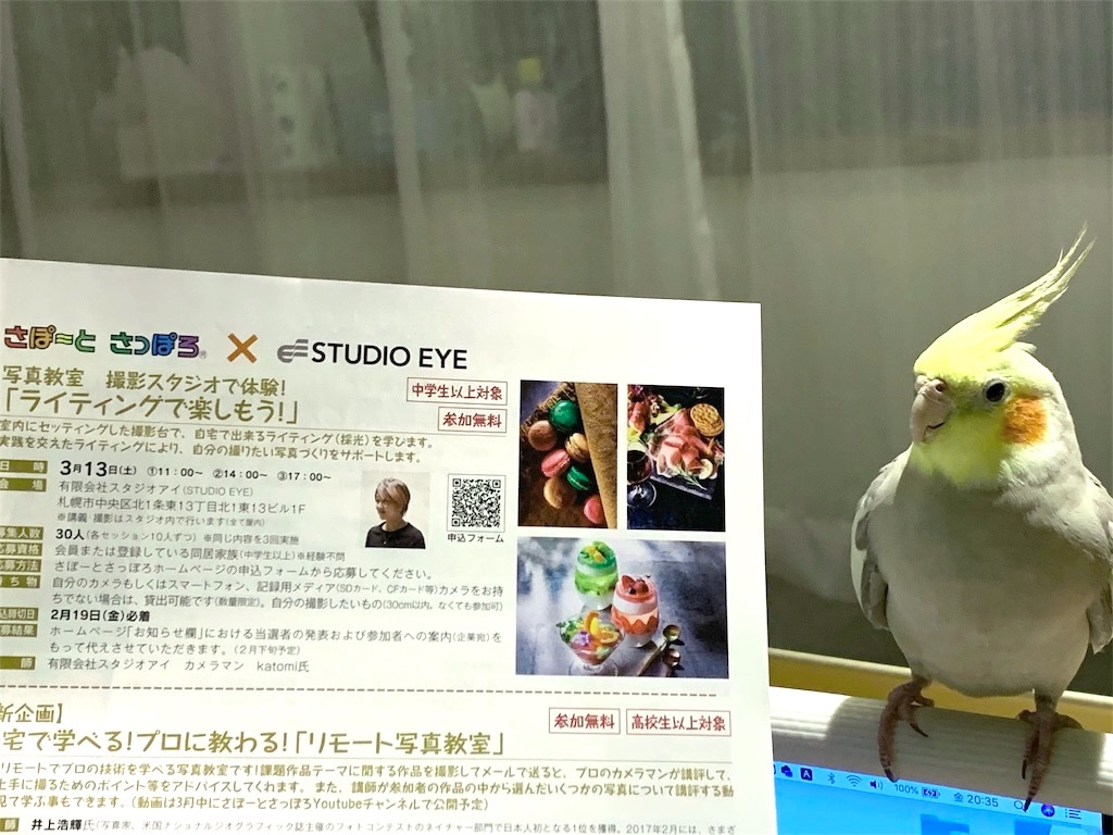 f:id:KATOMI:20210312213733j:image