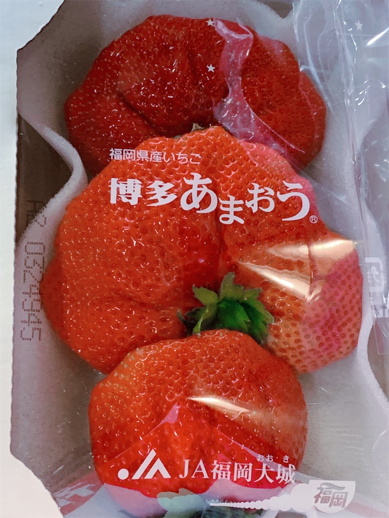 f:id:KATOMI:20220125000532j:image f:id:KATOMI:20220125000532j:image