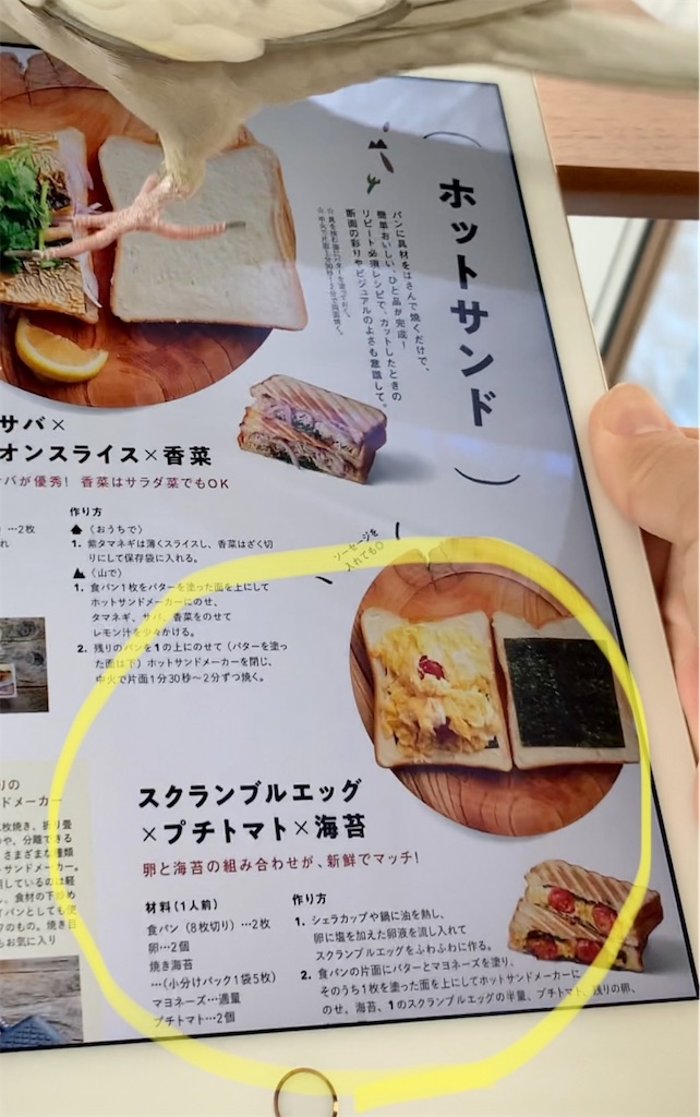 f:id:KATOMI:20220213210407j:image