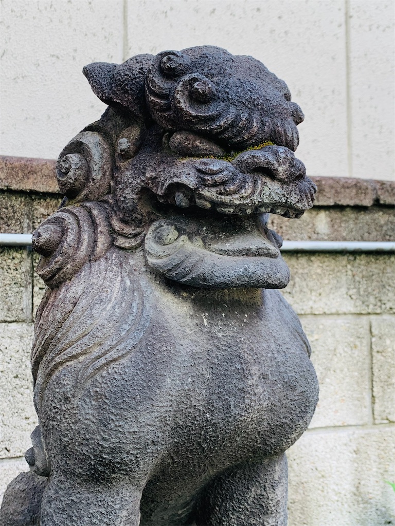 f:id:KATOMI:20220529132859j:image