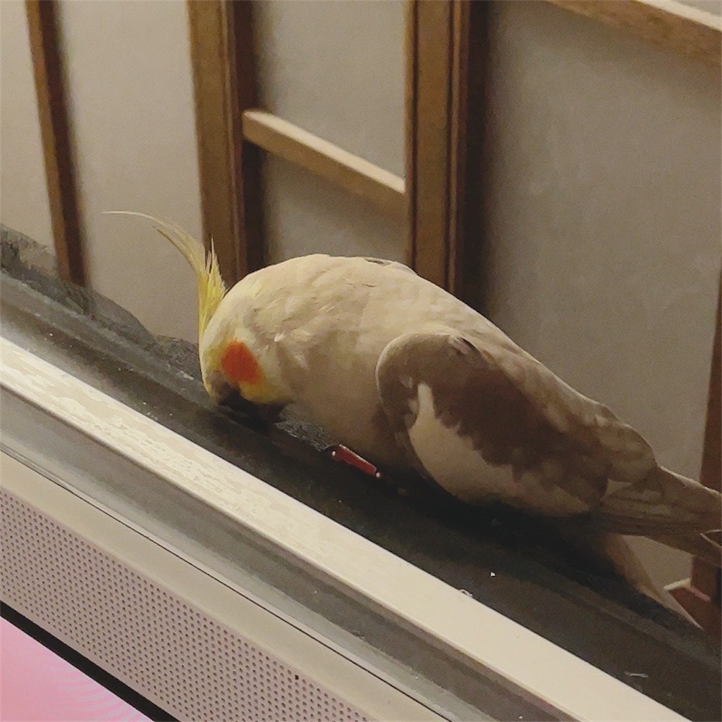 f:id:KATOMI:20220923201129j:image