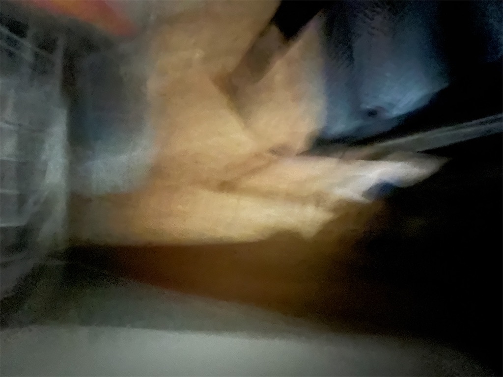 f:id:KATOMI:20221101225011j:image