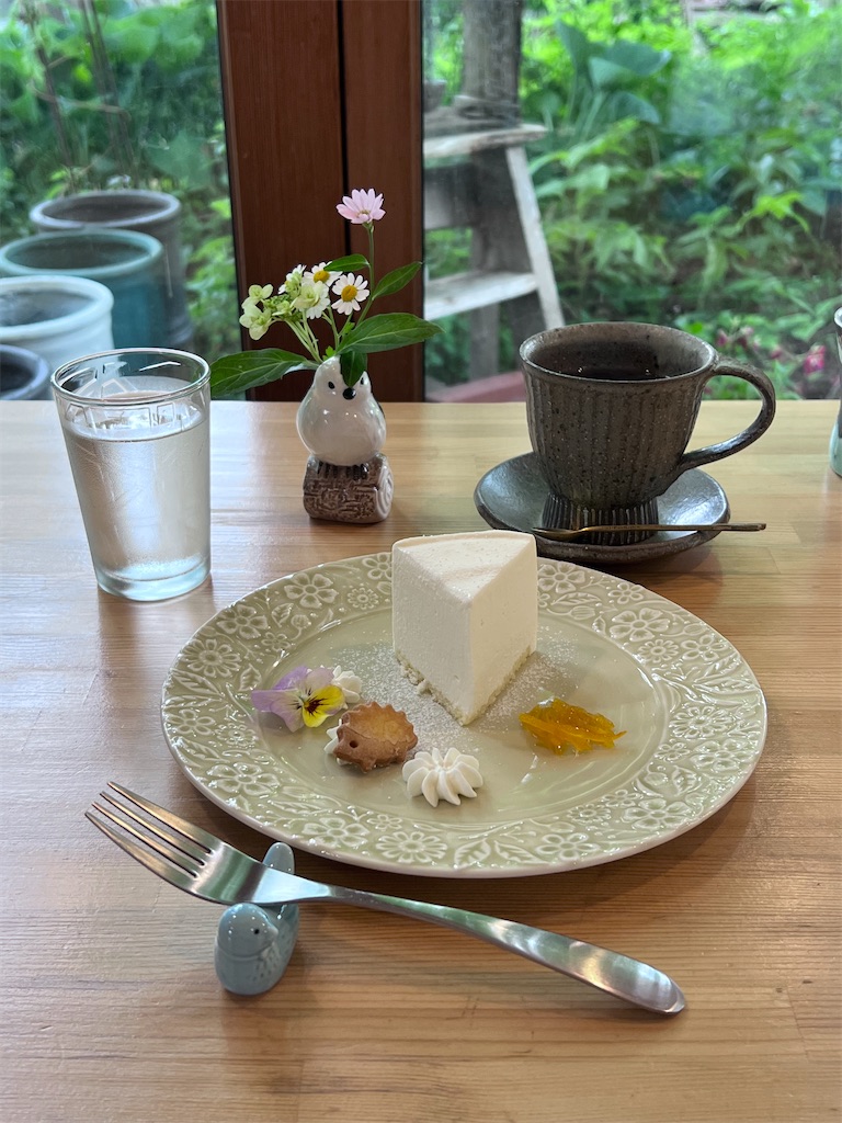 f:id:KATOMI:20230630190519j:image