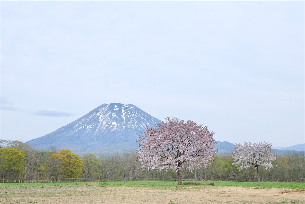 f:id:KATOMI:20240505205936j:image
