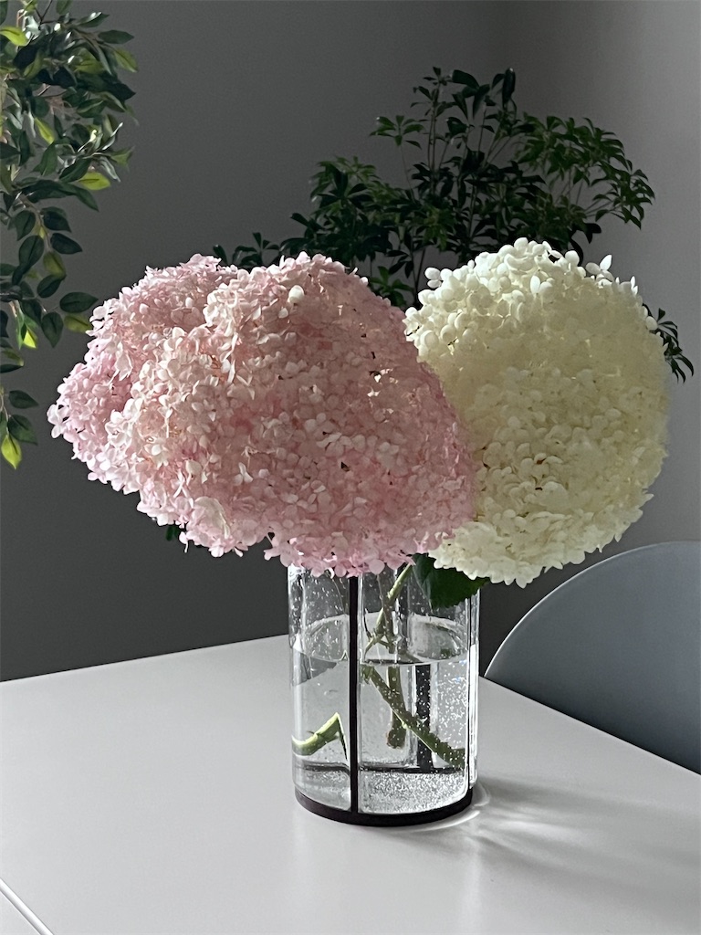 f:id:KATOMI:20240723230659j:image