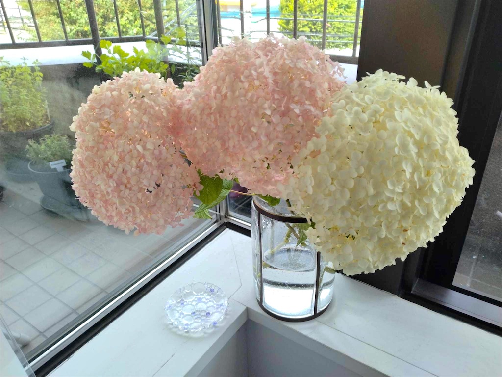f:id:KATOMI:20240724213521j:image f:id:KATOMI:20240724213521j:image