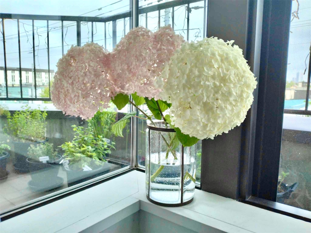 f:id:KATOMI:20240724213524j:image f:id:KATOMI:20240724213524j:image