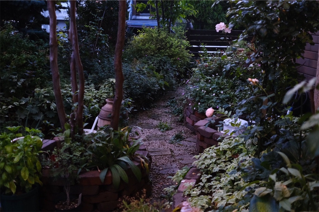 f:id:KATOMI:20240818190516j:image