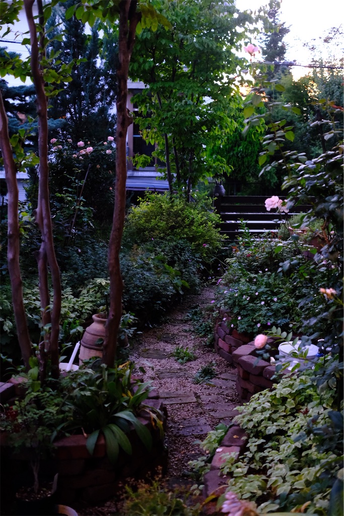 f:id:KATOMI:20240818190526j:image