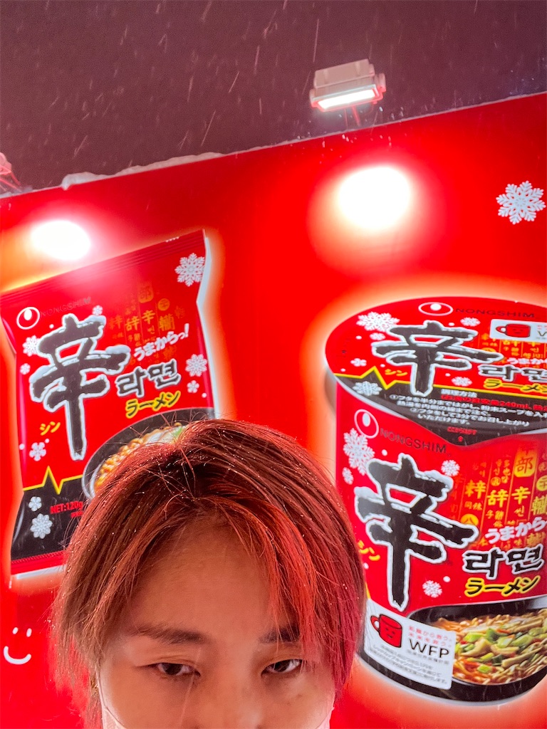 f:id:KATOMI:20250202210604j:image