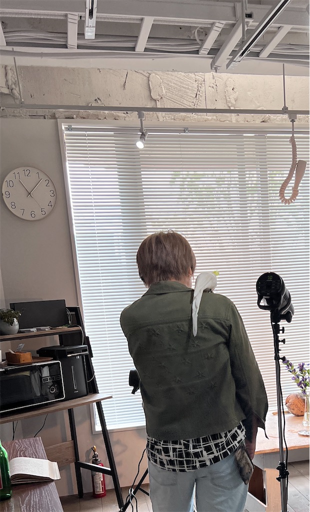 f:id:KATOMI:20250524025631j:image