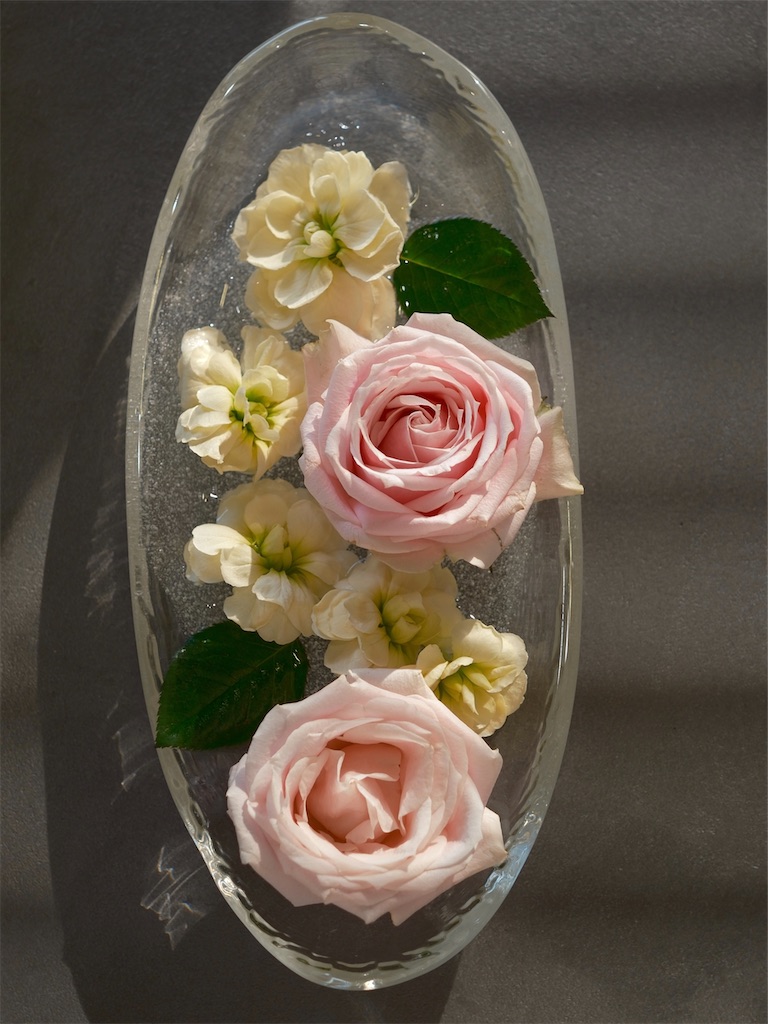 f:id:KATOMI:20251223225102j:image f:id:KATOMI:20251223225102j:image