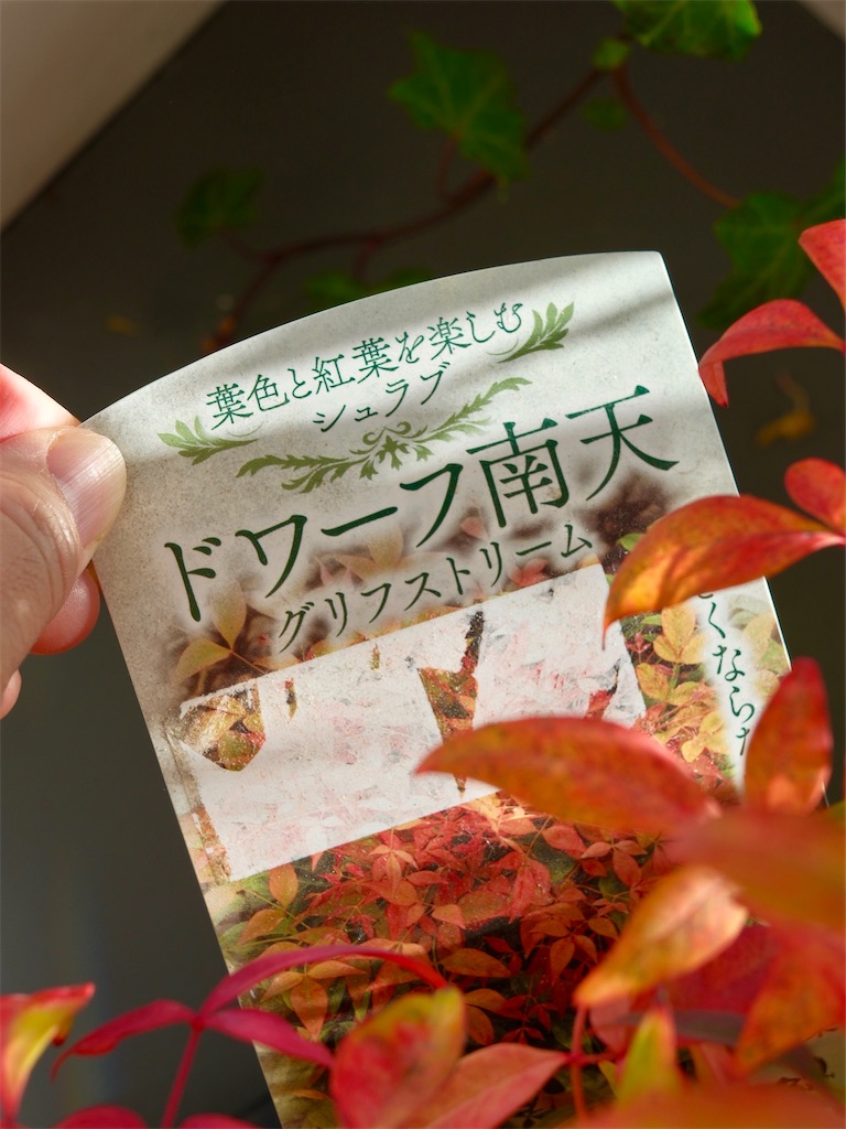 f:id:KATOMI:20251223225315j:image f:id:KATOMI:20251223225315j:image