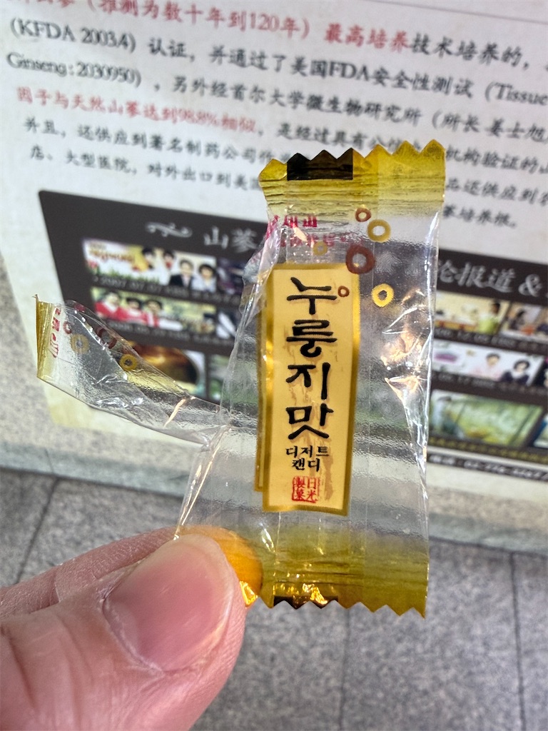 f:id:KATOMI:20260101222028j:image