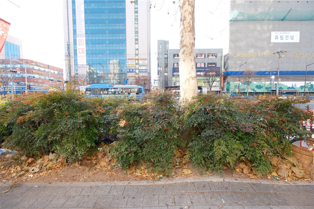 f:id:KATOMI:20260101222700j:image