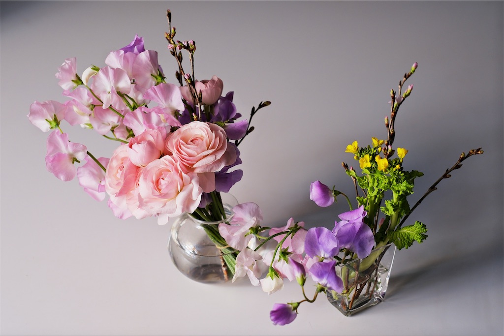 f:id:KATOMI:20260121000339j:image f:id:KATOMI:20260121000339j:image