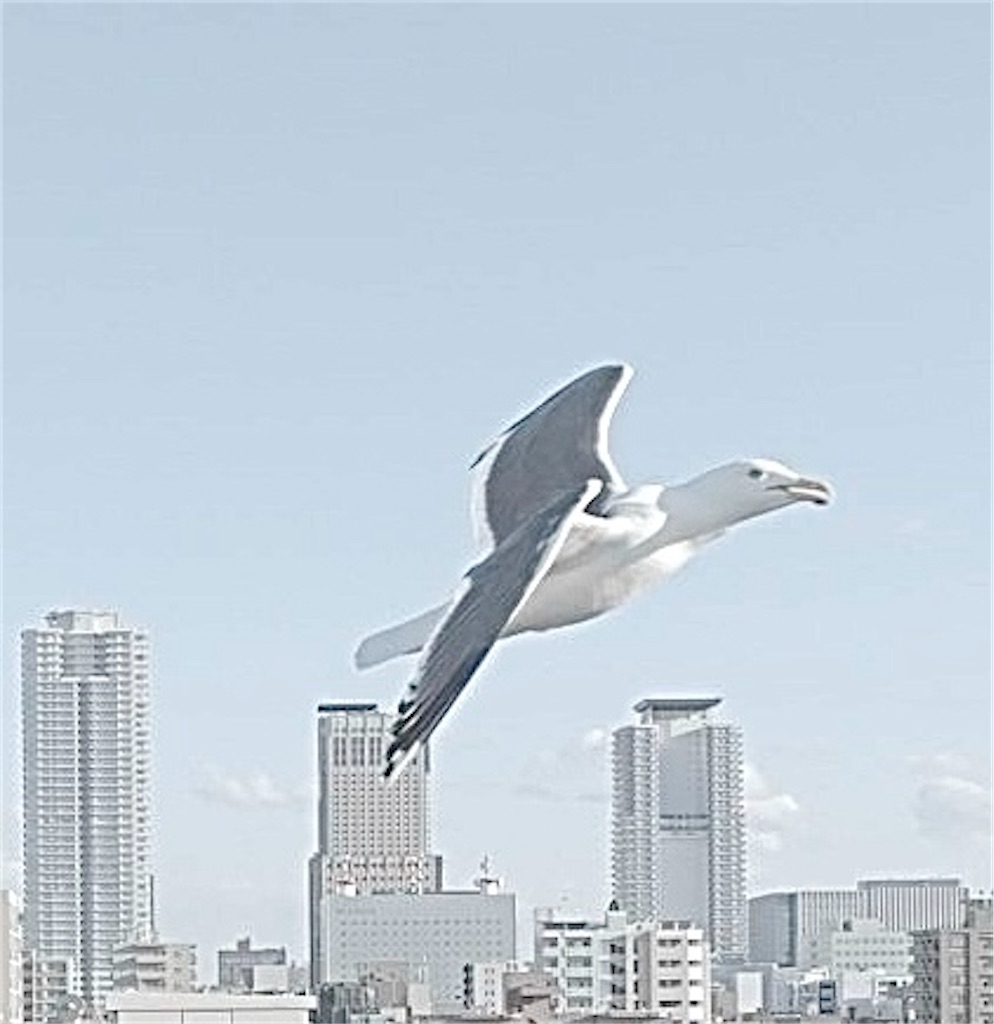 f:id:KATOMI:20260423193436j:image