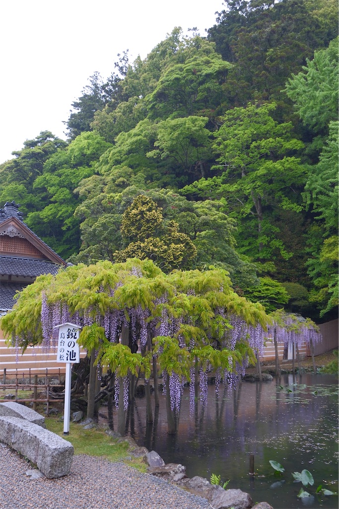 f:id:KATOMI:20260504002417j:image
