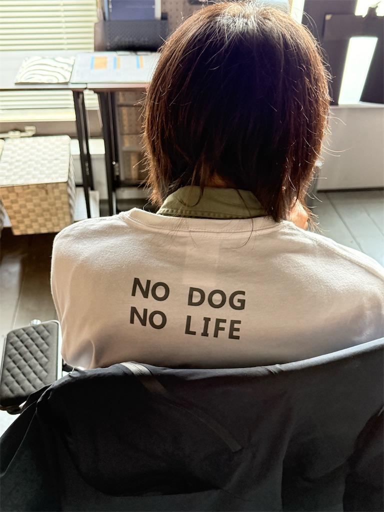 f:id:KATOMI:20260522202607j:image