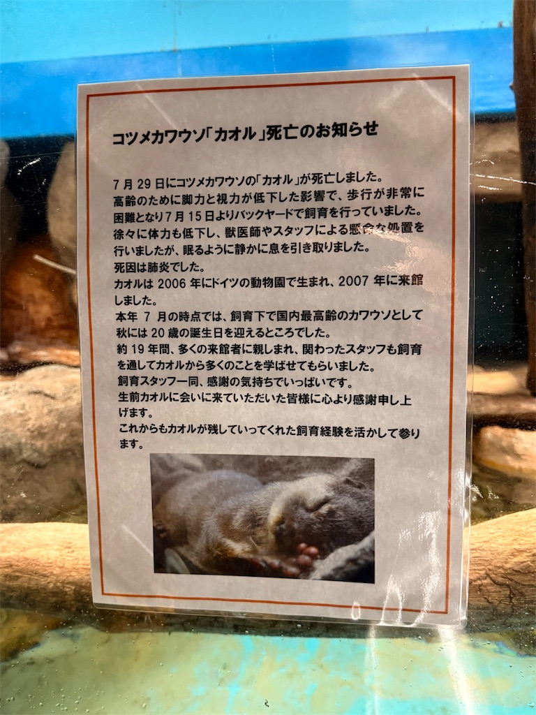 f:id:KATOMI:20260815202124j:image