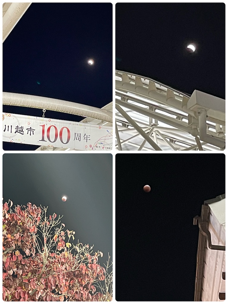 f:id:KAWACOJI:20221111150909j:image