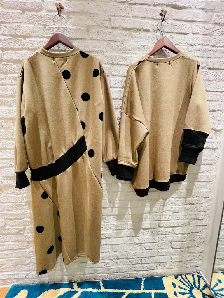 f:id:KAWACOJI:20221111151207j:image
