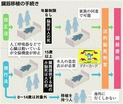 f:id:KAYUKAWA:20090801173845j:image f:id:KAYUKAWA:20090801173845j:image