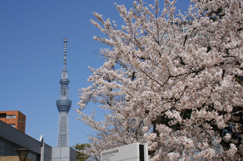 f:id:KAYUKAWA:20120408112642j:image