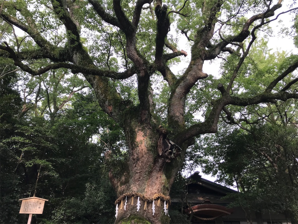 f:id:KAZEPA:20190829101516j:image f:id:KAZEPA:20190829101516j:image