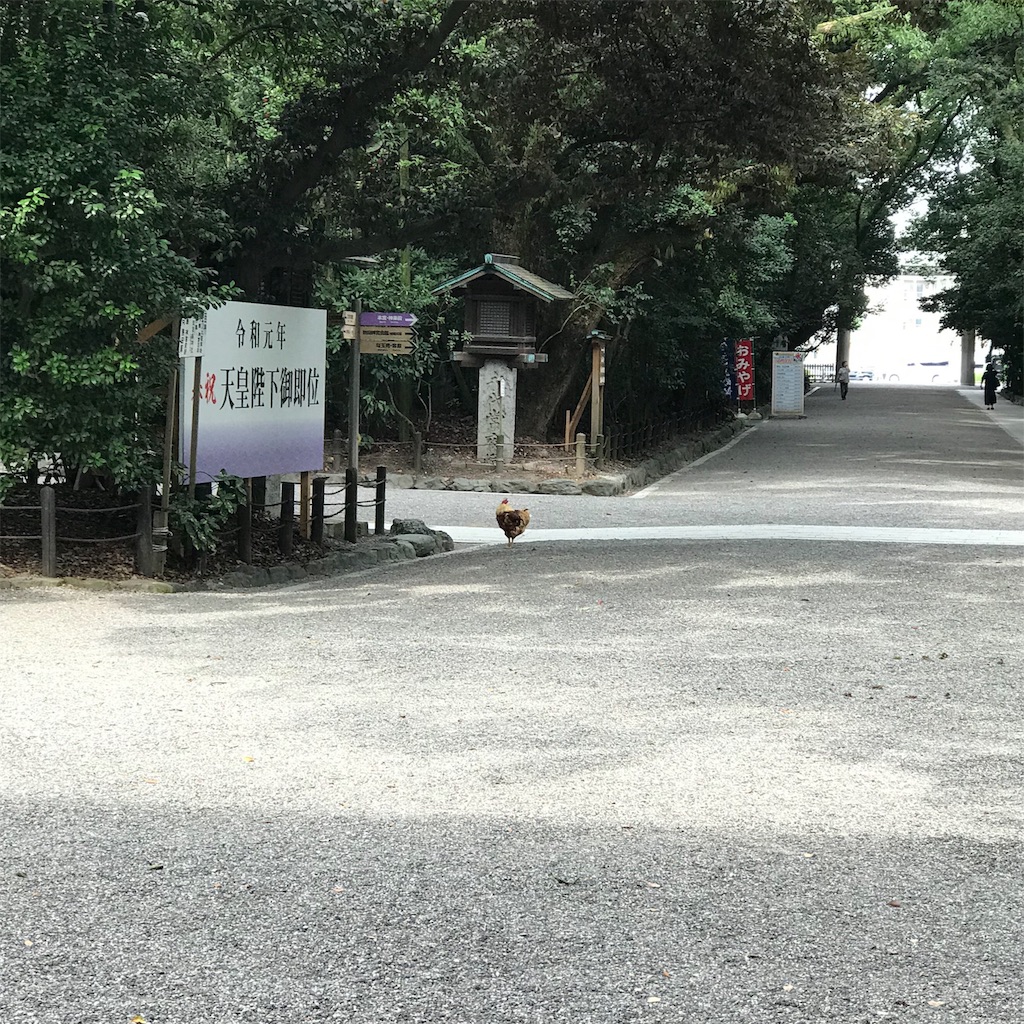 f:id:KAZEPA:20190829103541j:image f:id:KAZEPA:20190829103541j:image