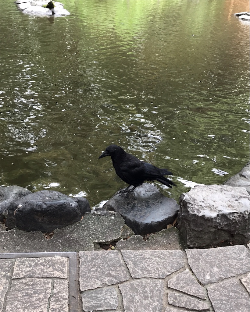 f:id:KAZEPA:20190829104453j:image f:id:KAZEPA:20190829104453j:image