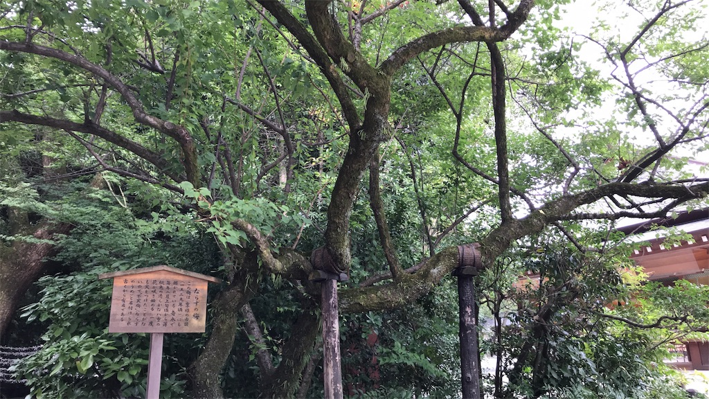 f:id:KAZEPA:20190829111725j:image f:id:KAZEPA:20190829111725j:image