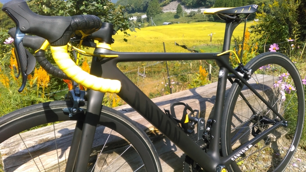 CANYON 「キャニオン」 ULTIMATE CF SLX8.0 DI2 2019年モデル ロードバイク