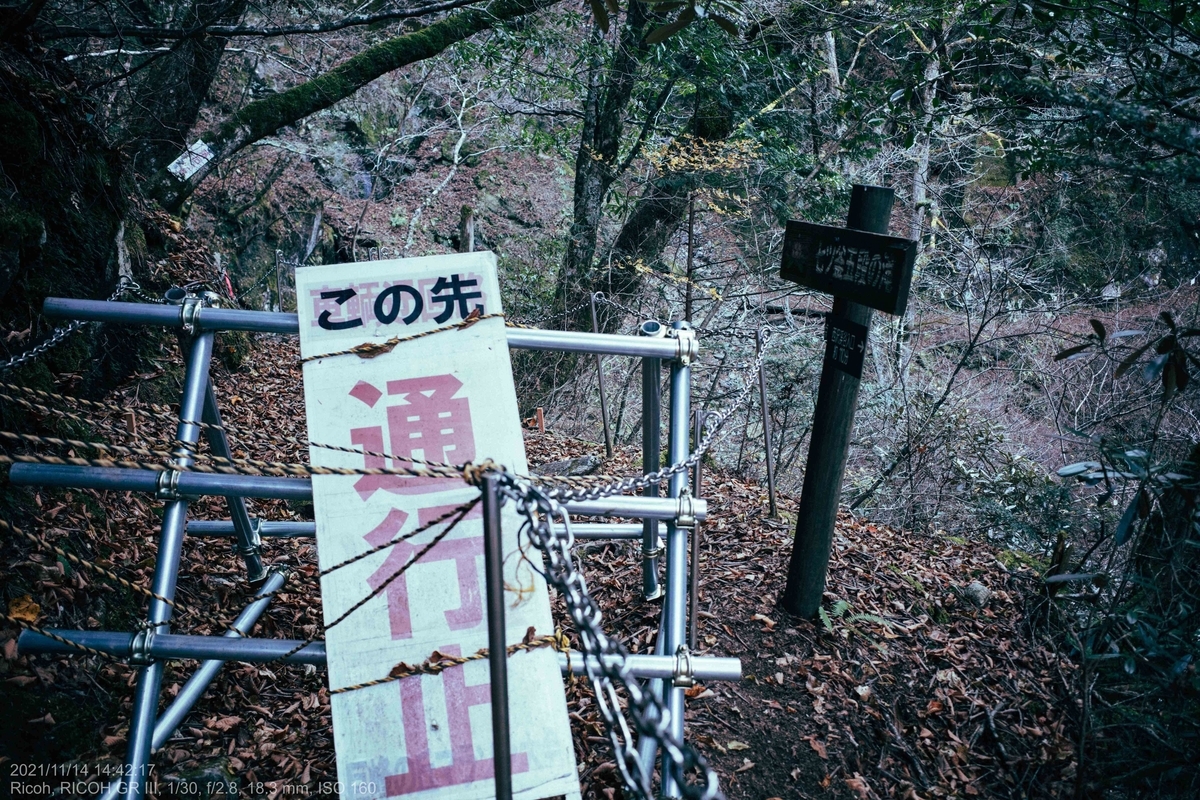 f:id:KAzuma:20211115022400j:plain