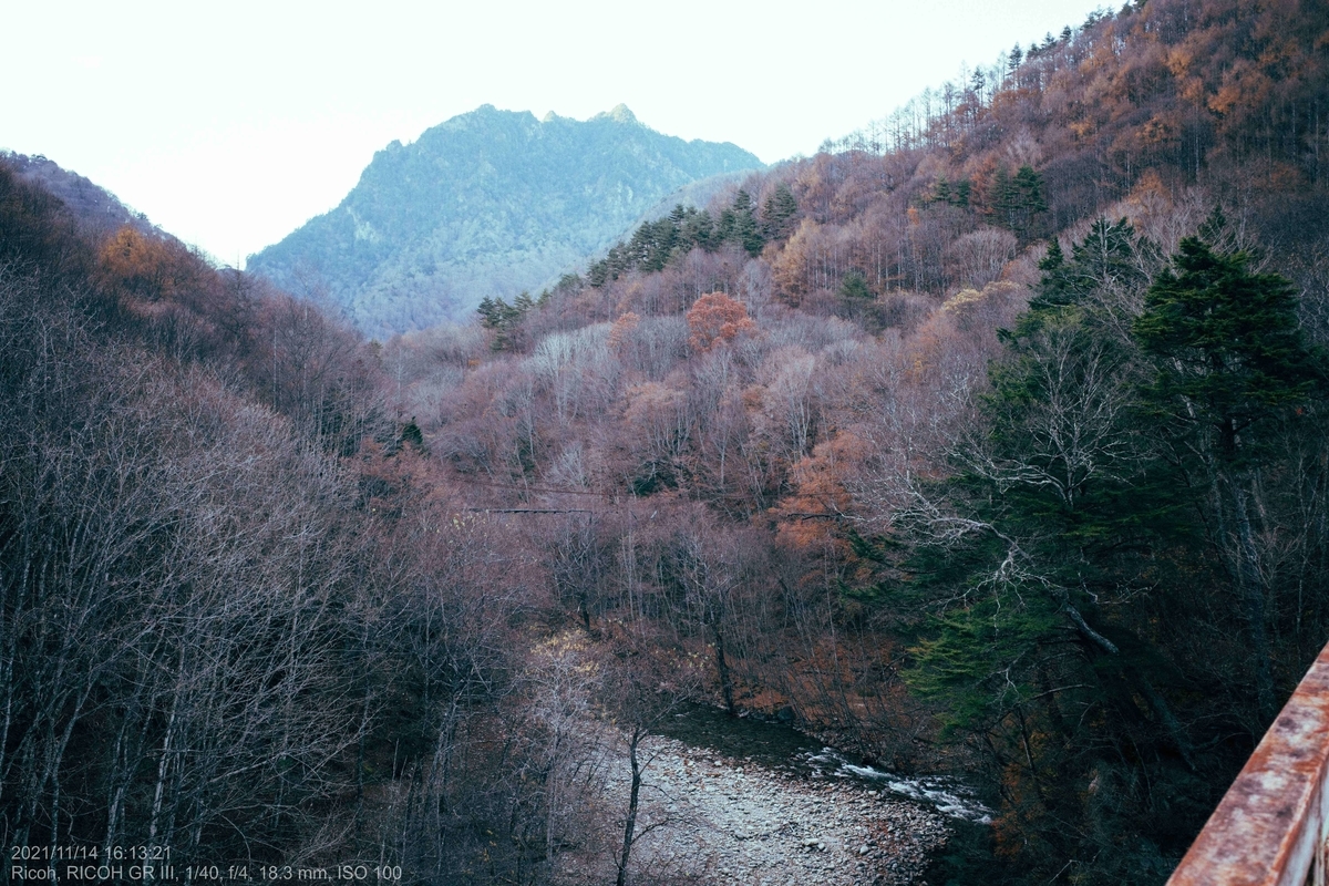 f:id:KAzuma:20211115035256j:plain