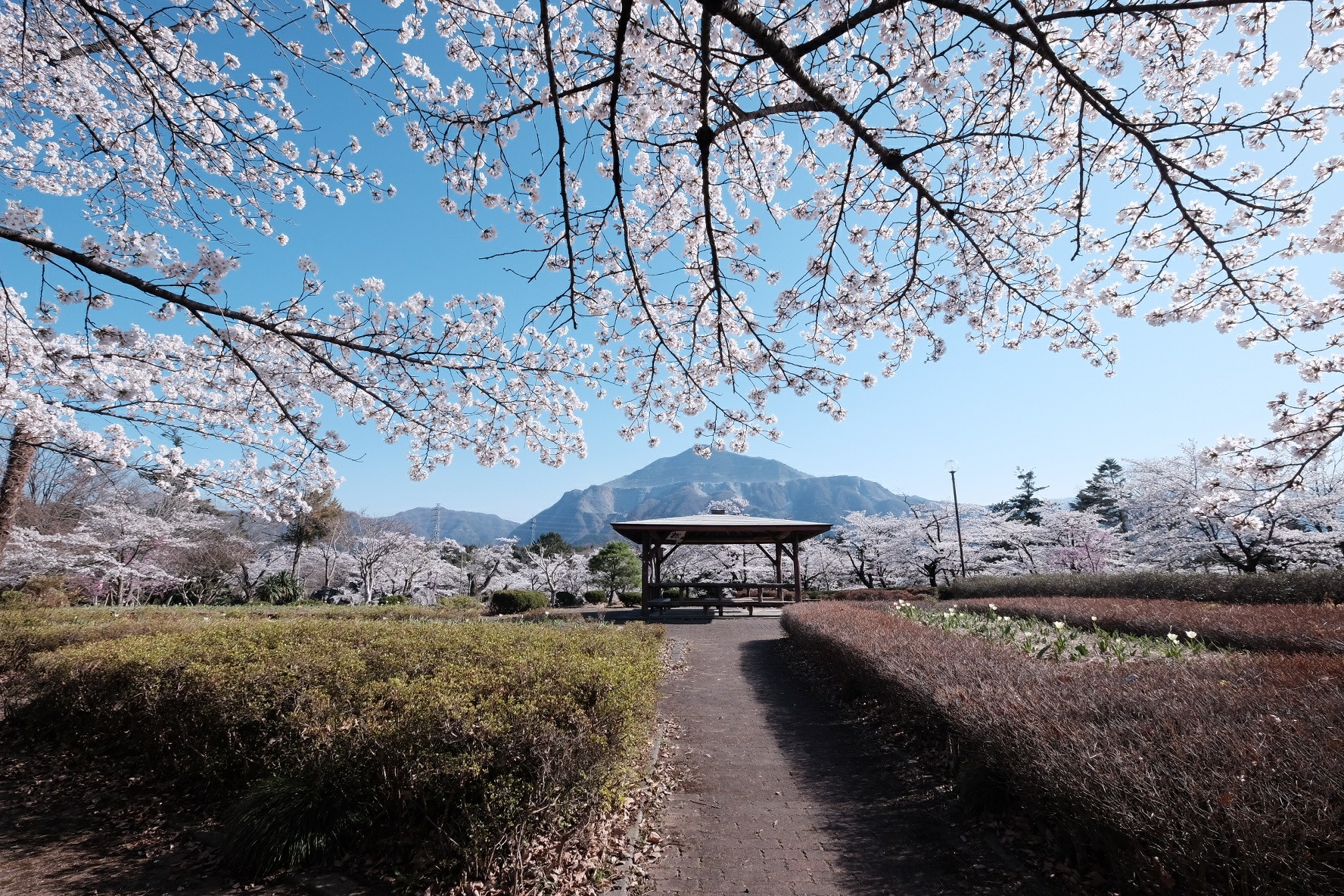 f:id:KB_noizeeeee:20180407172645j:image