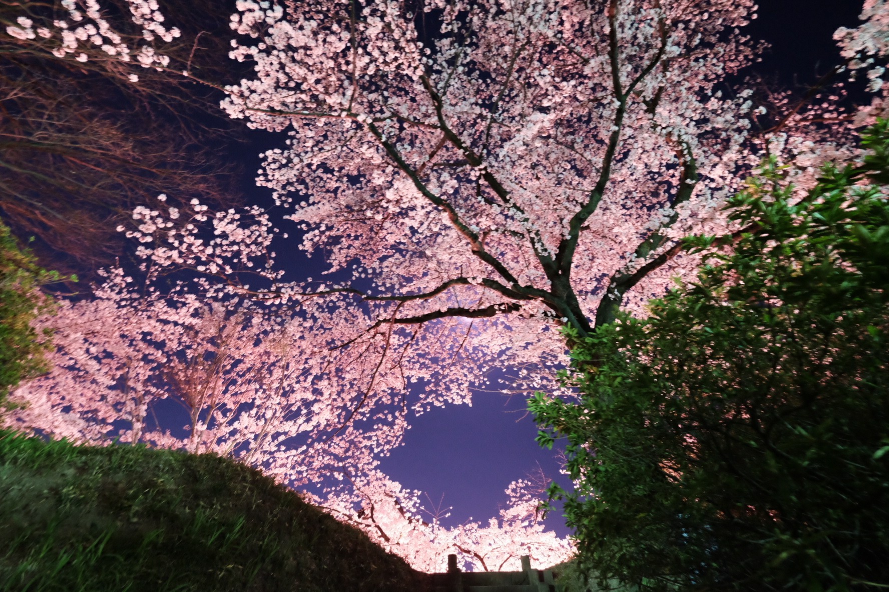 f:id:KB_noizeeeee:20180407172815j:image