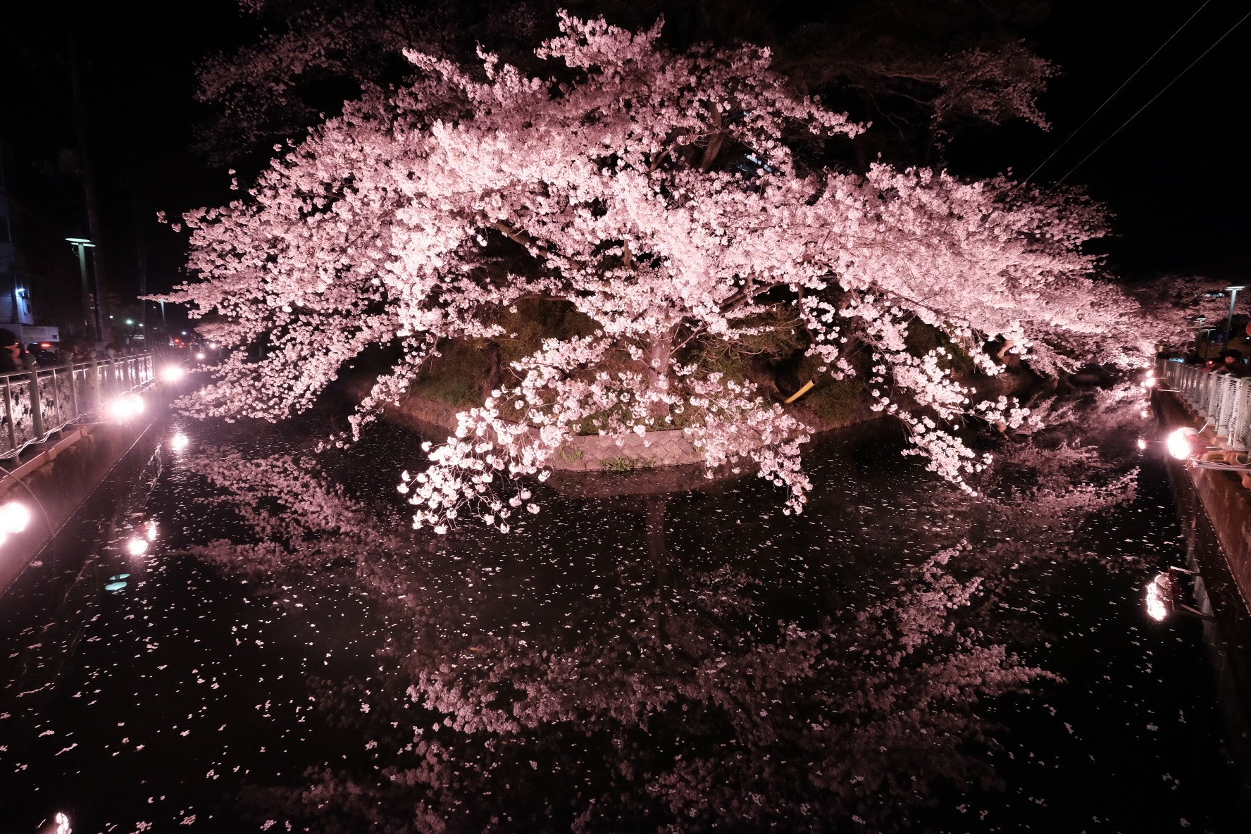 f:id:KB_noizeeeee:20180407172950j:image