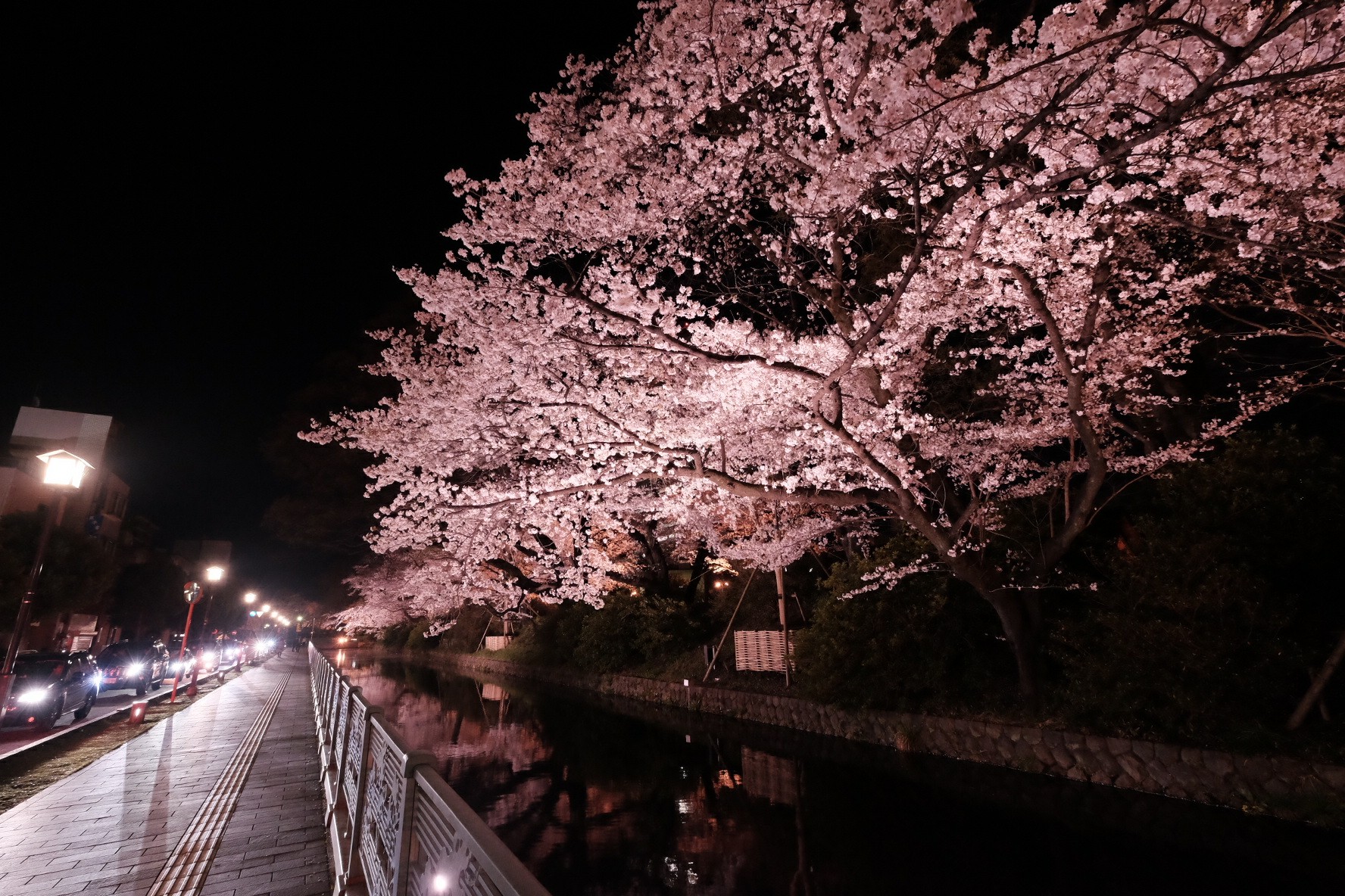 f:id:KB_noizeeeee:20180407173032j:image