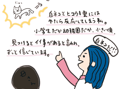 幸運の白ネコ（はやしけいか）