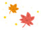 紅葉ピカピカ