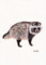 動物_タヌキ_林けいか