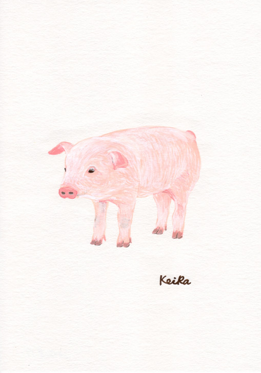 動物_ブタ_林けいか