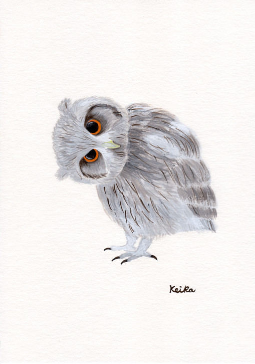 動物_フクロウ_林けいか