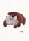 動物_カワウソ_林けいか