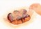 食べ物_たこ焼き_林けいか