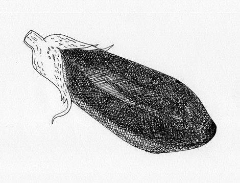 個別 食べ物 線画 ナス 林けいか の写真 画像 イラスト 絵日記 Keica S Fotolife