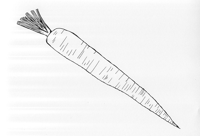 個別 食べ物 線画 金時にんじん 林けいか の写真 画像 イラスト 絵日記 Keica S Fotolife