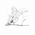 動物_線画_ネコ2_林けいか