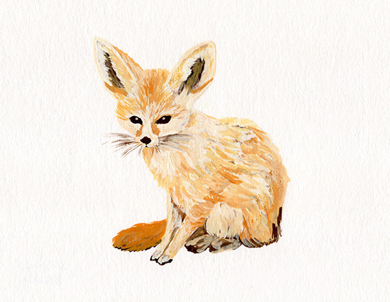 個展_林動物園_フェネック_林けいか